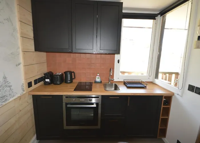 شقة Renove Au Pied Des Pistes Avec Balcon Et Cuisine Equipee - Fr-1-755-9